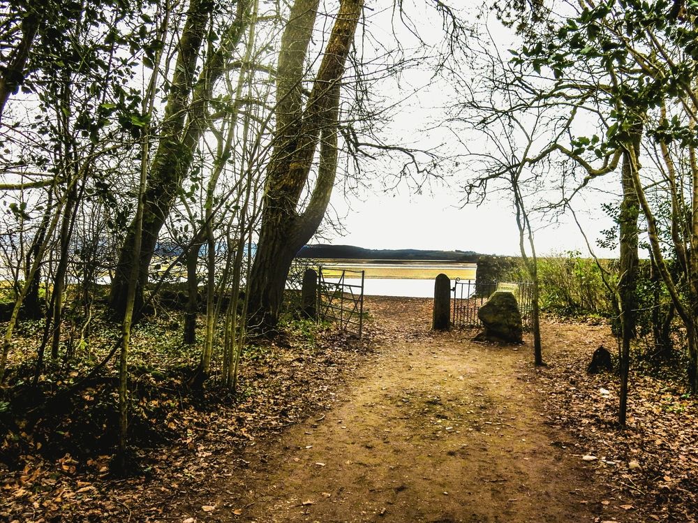 Photograph by Viviana García