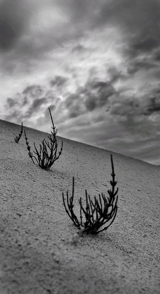Фотография автора Татьяна Даль