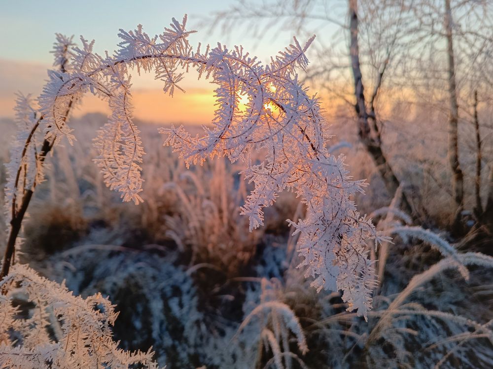 Photograph by Кондрашова Светлана