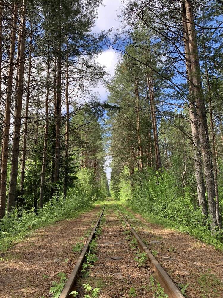 Photograph by Наталья Бирук