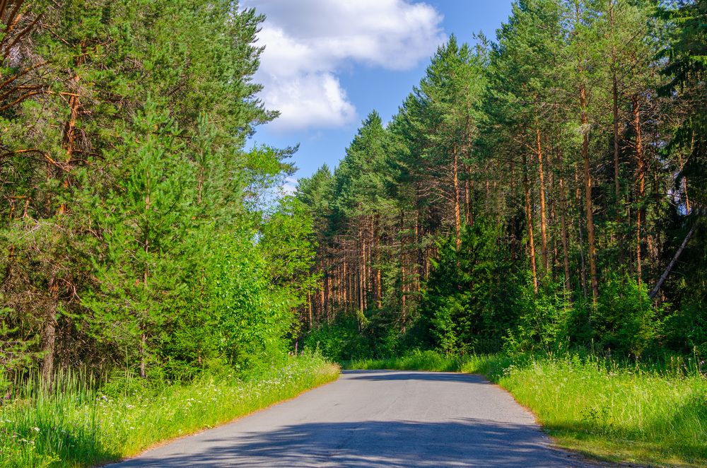 Photograph by Артём Шестаков