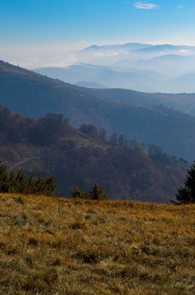 Photograph by Vedran Milic