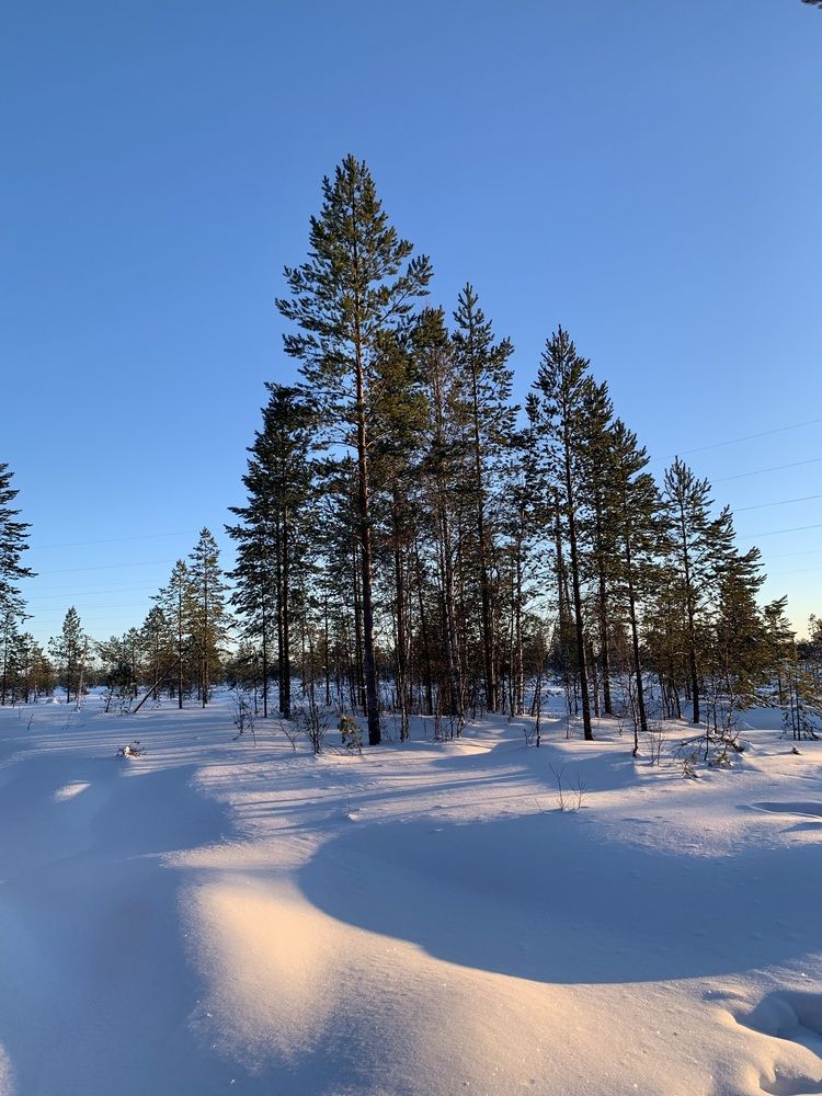 Photograph by Наталья Бирук