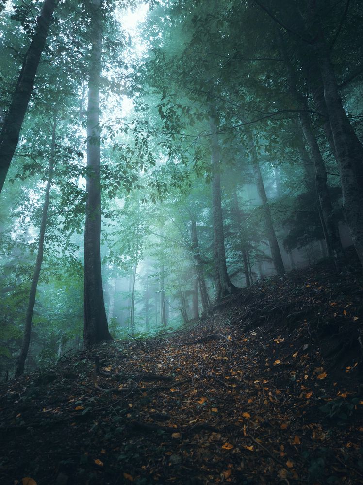 Photograph by Илья Цымбал