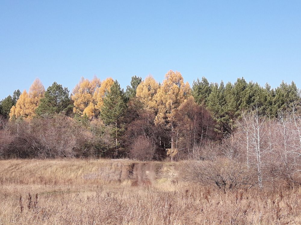 Photograph by Елена Алешкевич