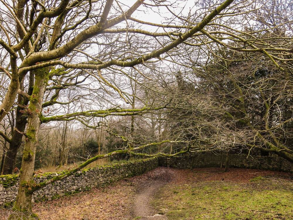 Photograph by Viviana García