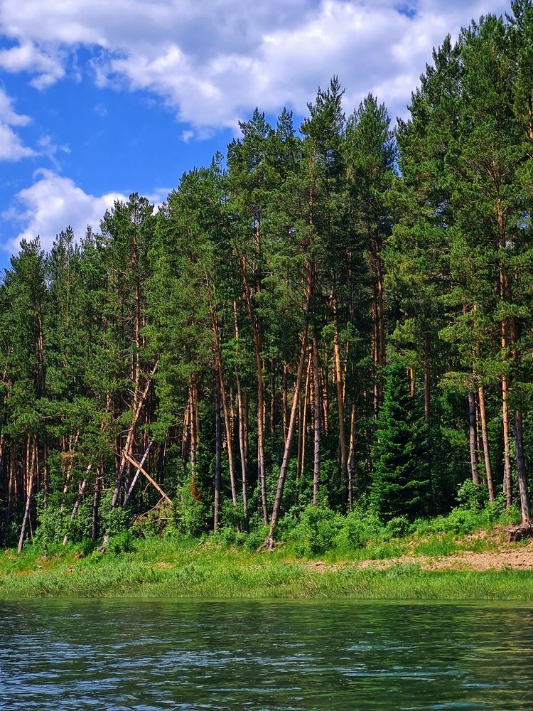 Photograph by Ольга Веселова