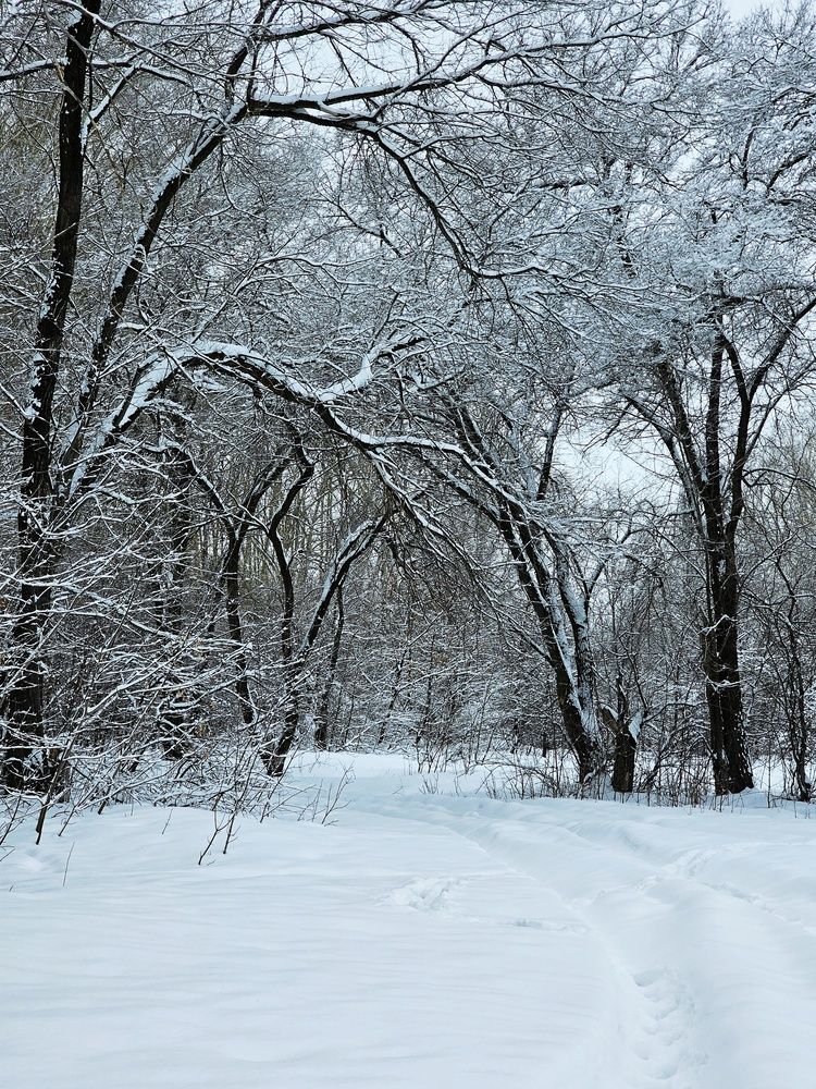 Photograph by Ольга Веселова
