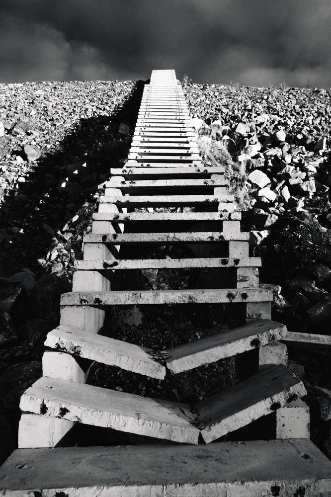 Фотография автора Татьяна Даль