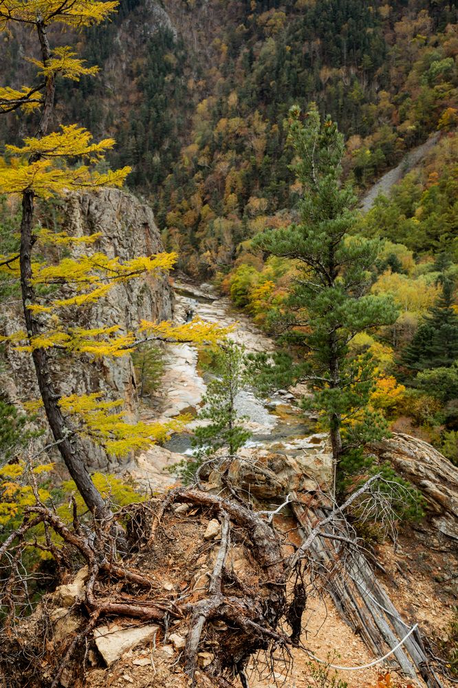 Photograph by Нестеренко Виктория