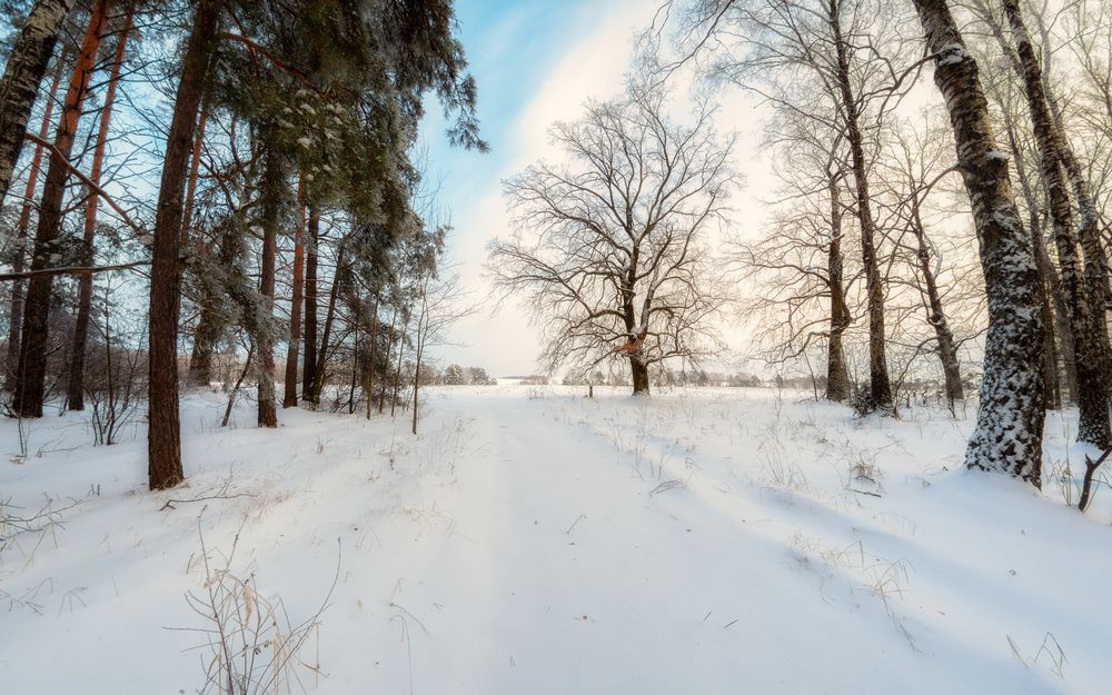 Photograph by Сергей Дишук