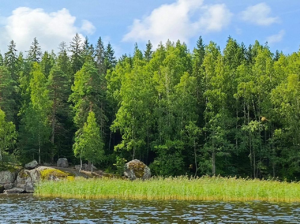 Photograph by Ирина Ильина