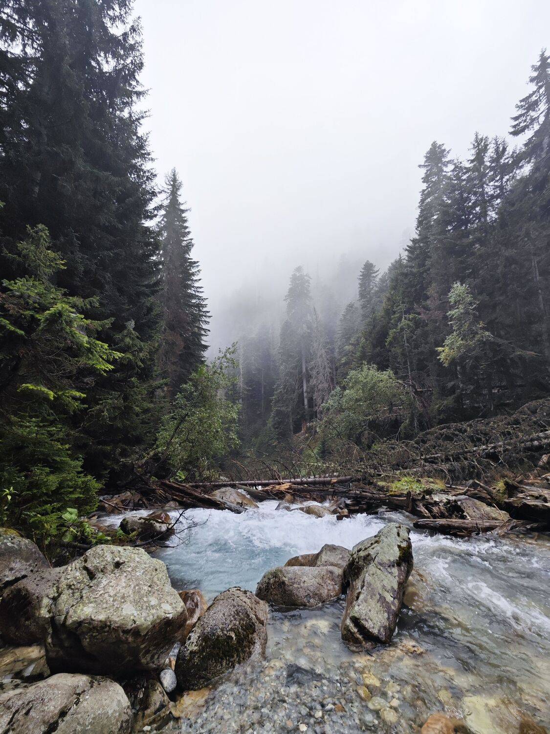 Photo #11841885