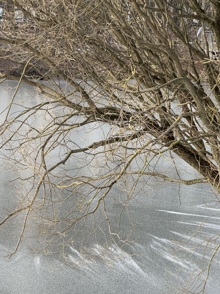 Photograph by надежда плавник