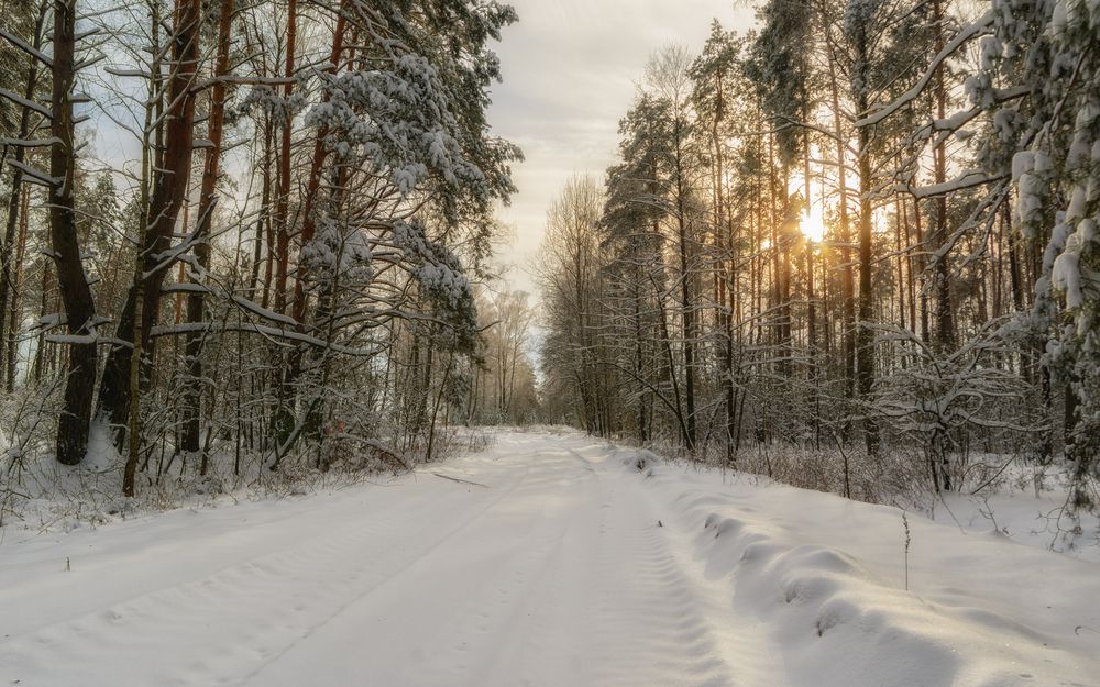 Photograph by Сергей Дишук