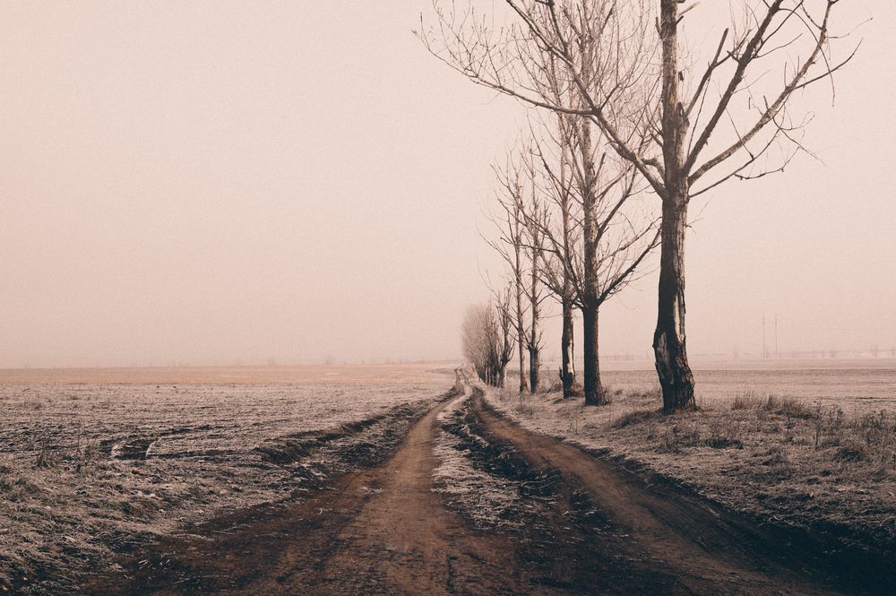 Фотография автора Oleg Suhenko