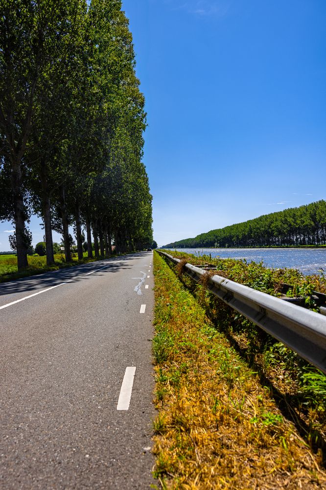 Фотография автора Steven Kruit