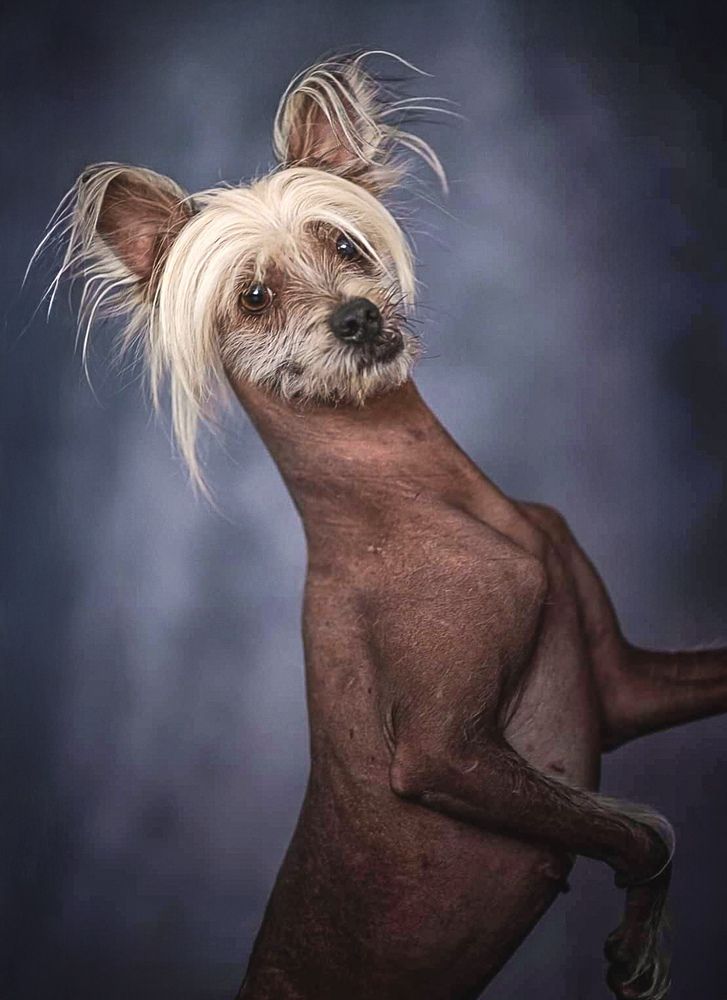 Фотография автора Карина Сагитова