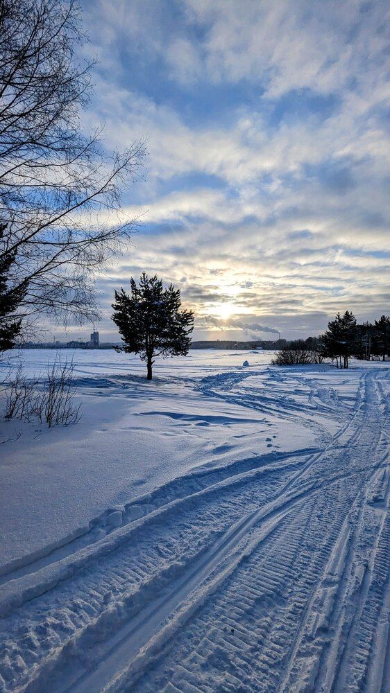 Photograph by Anastasiia