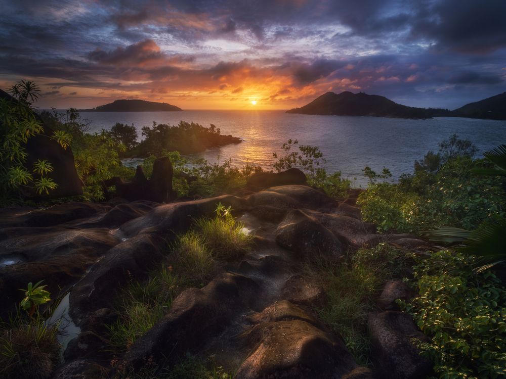 Сейшельские острова