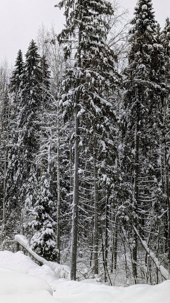 Photograph by Anastasiia