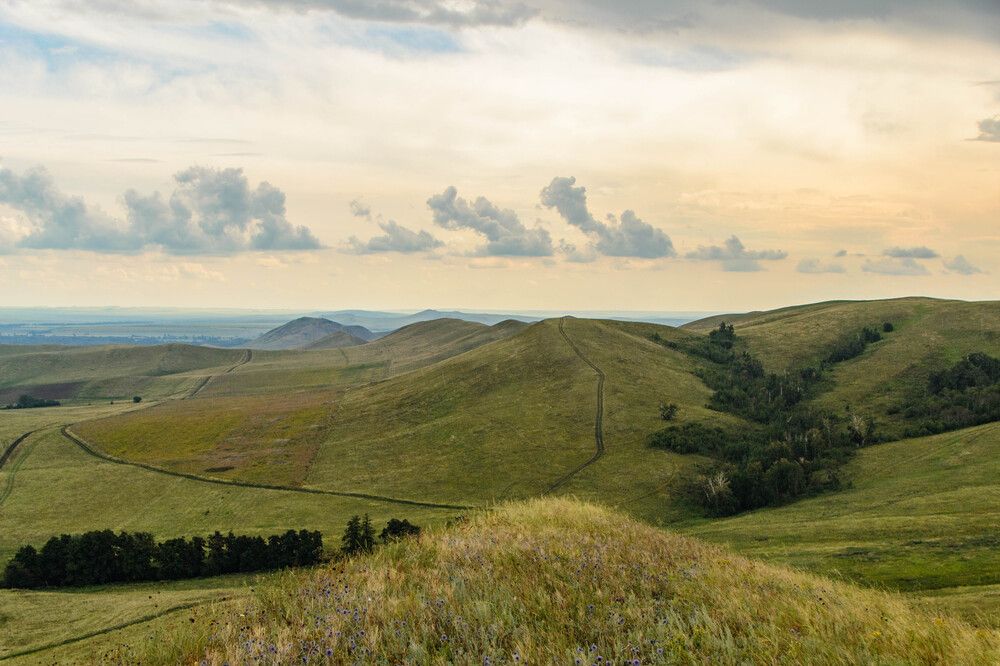 Photograph by Михаил Ананьин