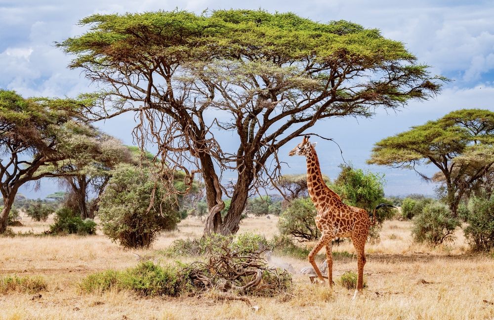 Photograph by Nitin Baste