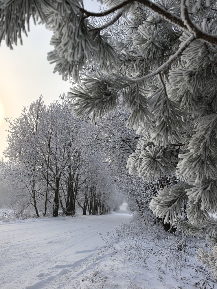 Photograph by Максим Лупач