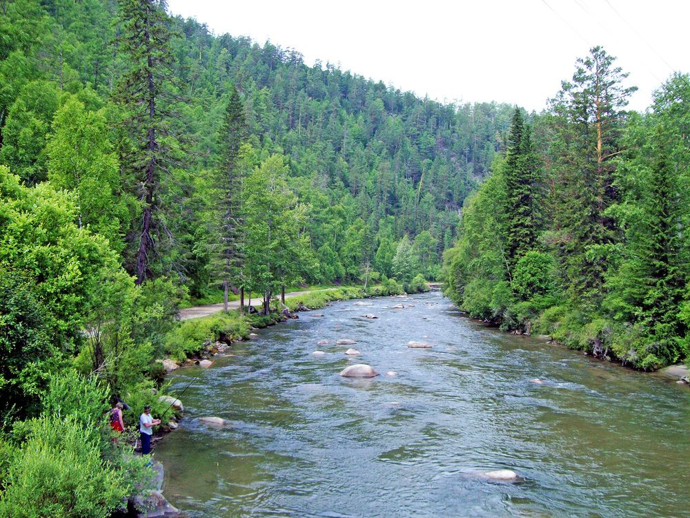 Photograph by Мигун Александра