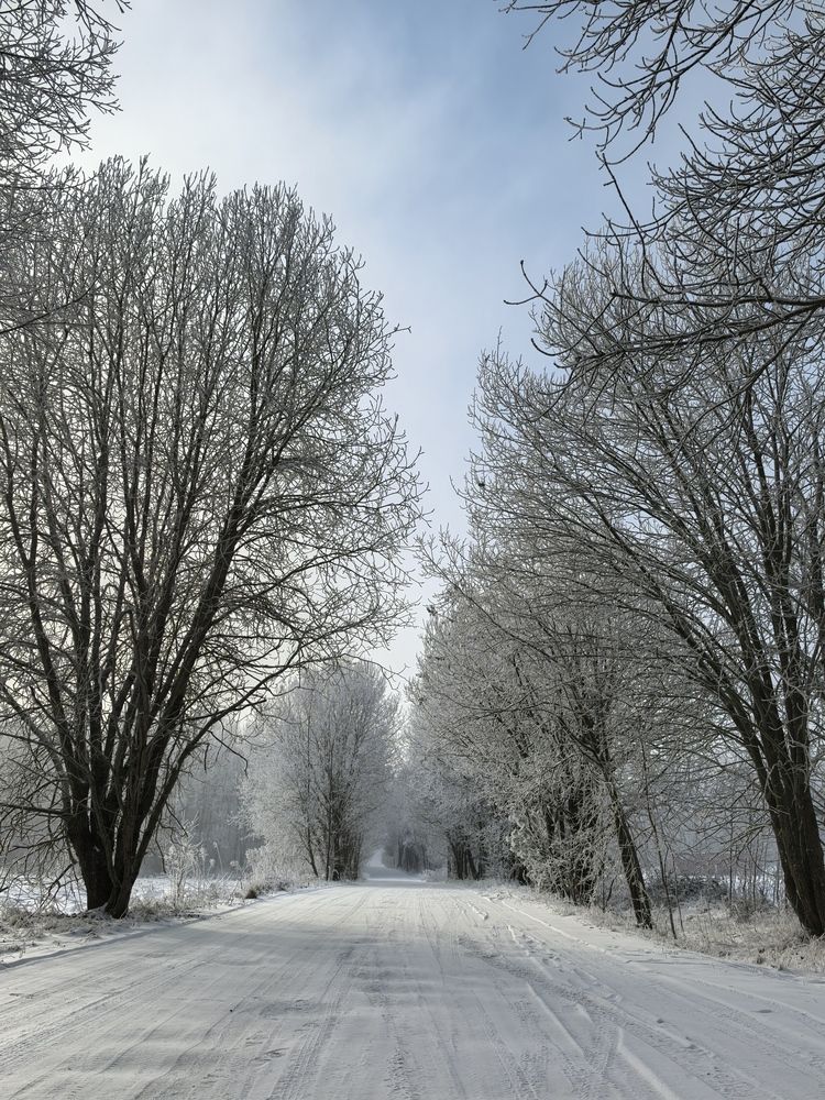 Photograph by Максим Лупач