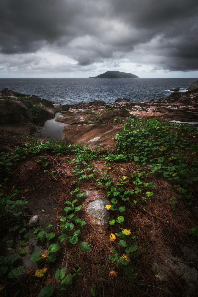 Photograph by Михаил Козлов