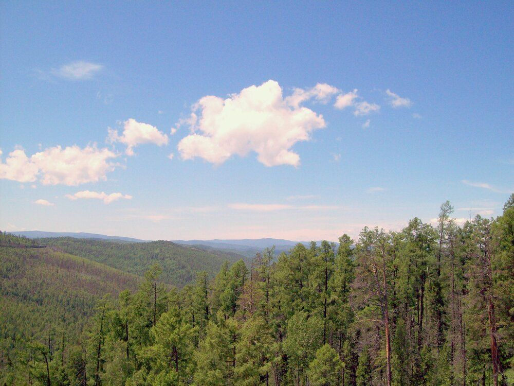 Photograph by Мигун Александра