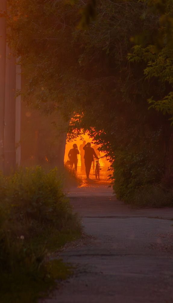 Photograph by Веретельников Дмитрий