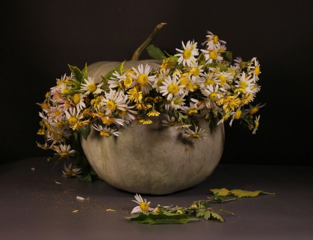 Фотография автора Ольга