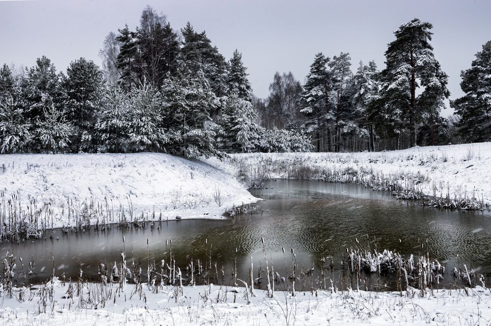 Фотография автора Inga Ivanova