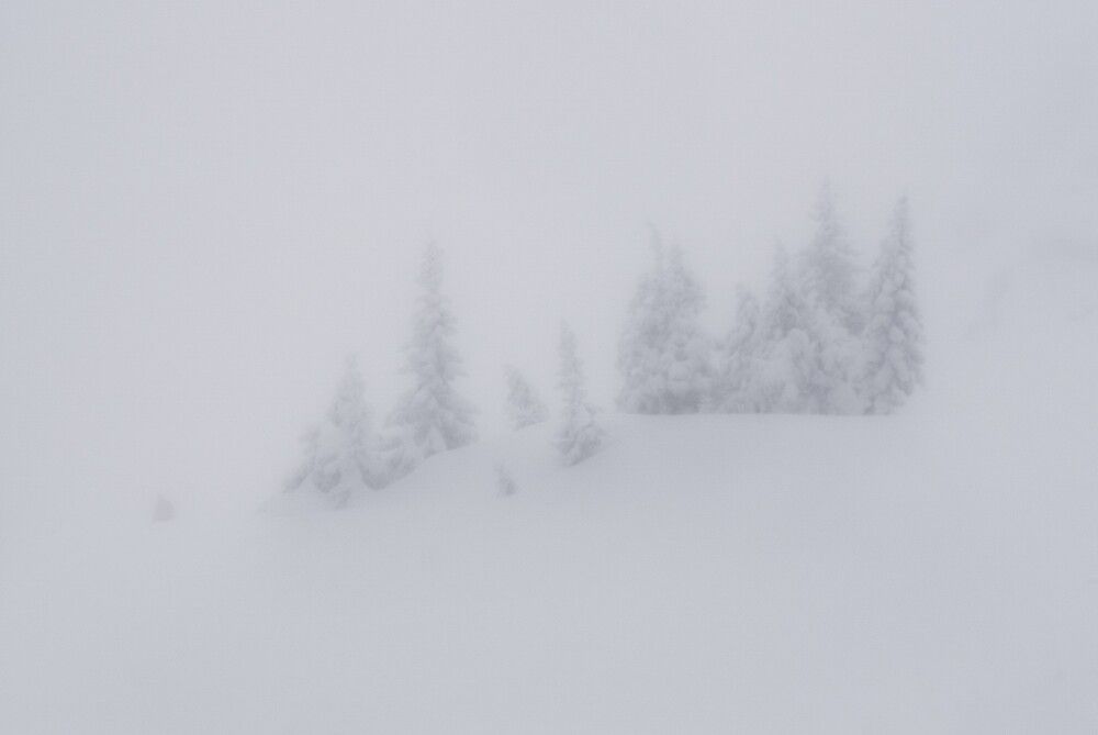 Photograph by Толстоноженко Илья