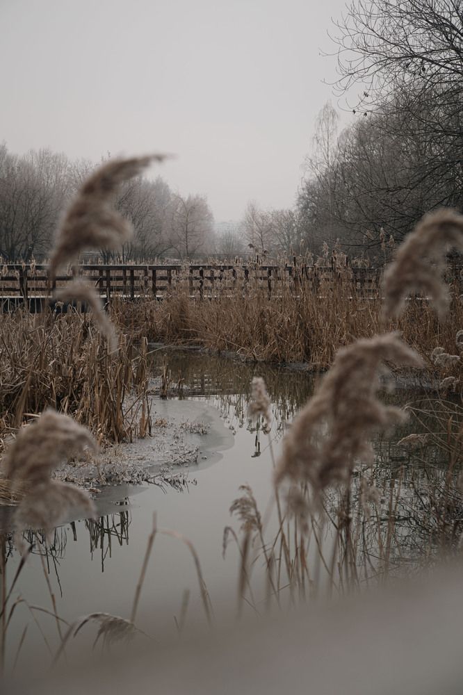 Photograph by Синицын Дмитрий