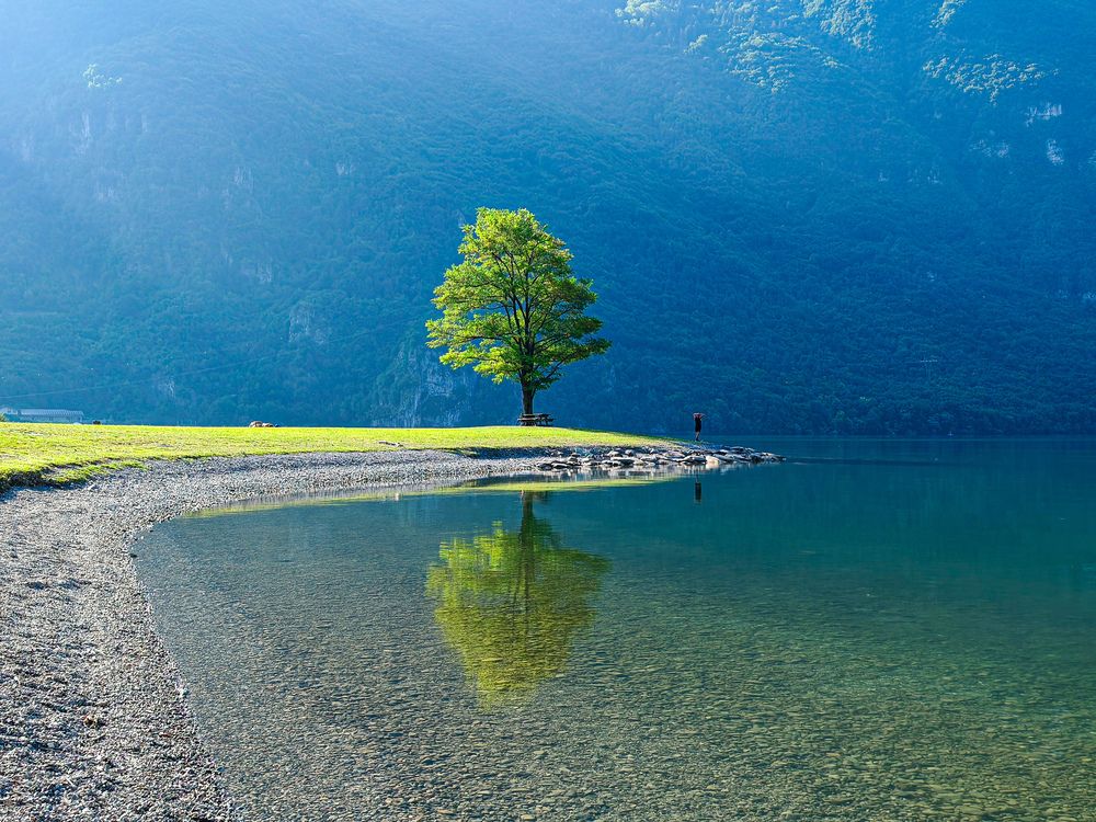 Photograph by Stefania Saba