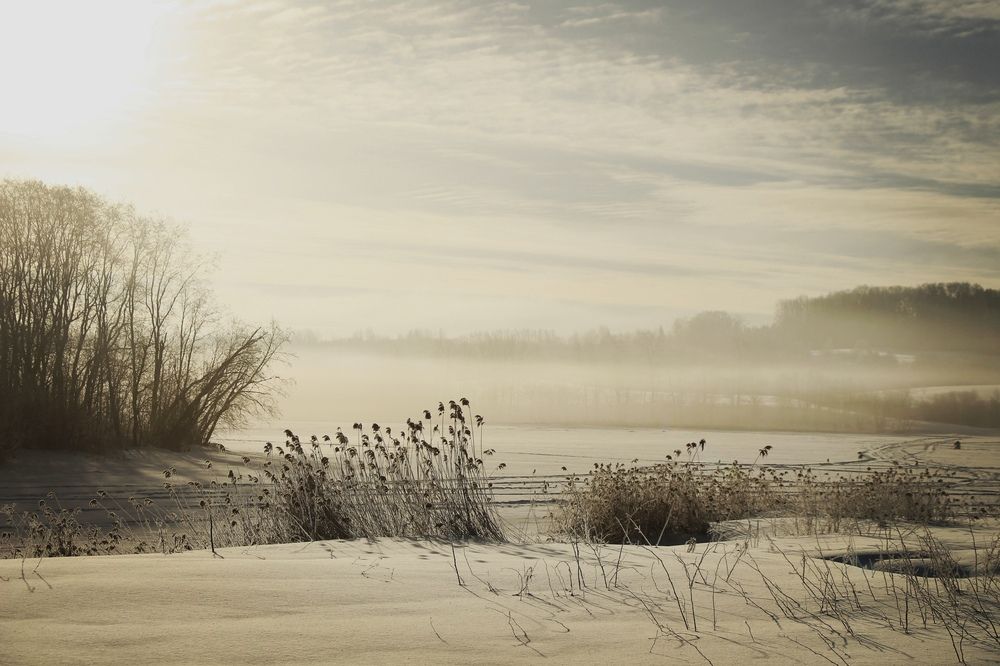 Туман над озером