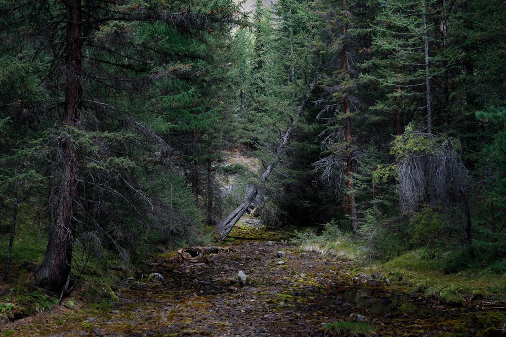 Photograph by Andrey Lagunov