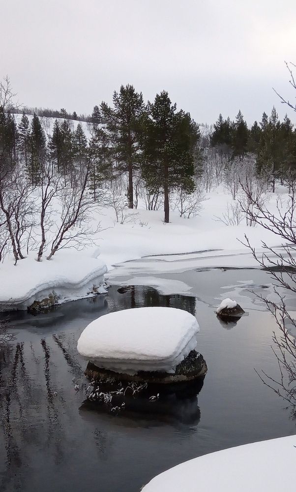 Фотография автора Татьяна Даль