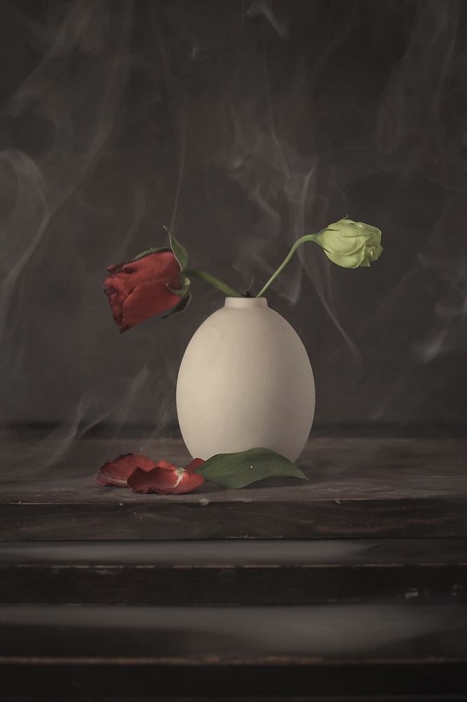 Photograph by Fatima Hamza