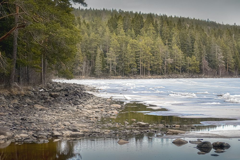 Photograph by Елена Амозова