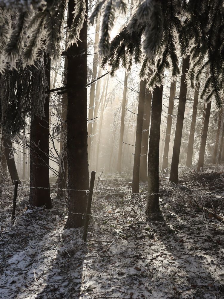 Photograph by Irina Lack