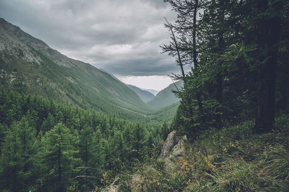 Photograph by Александр Кузьмин