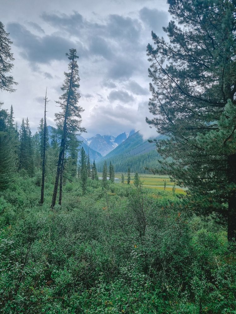 Photograph by Александр Кузьмин