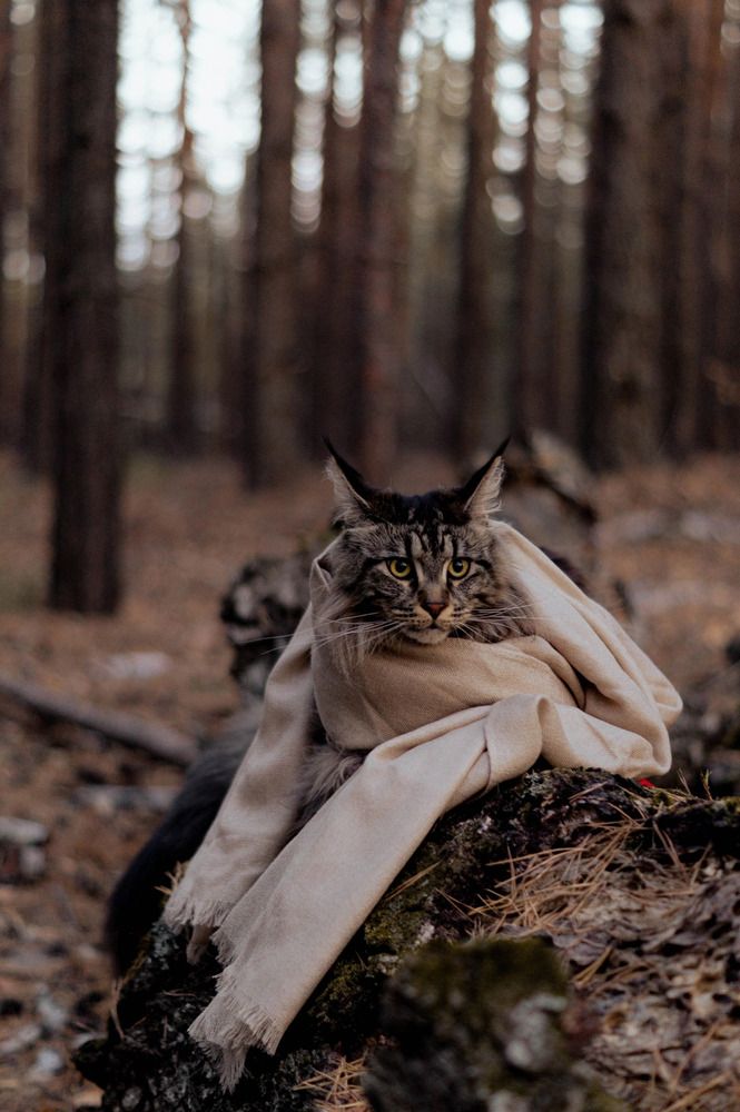 Photograph by Вероника Окольнова