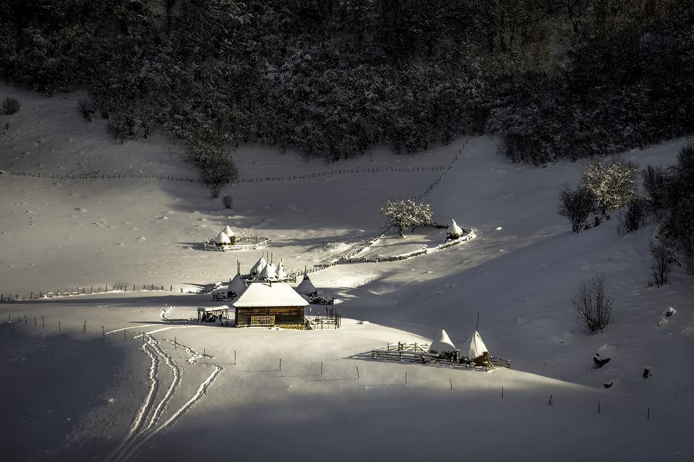 Photograph by Dobrean Constantin Gabriel