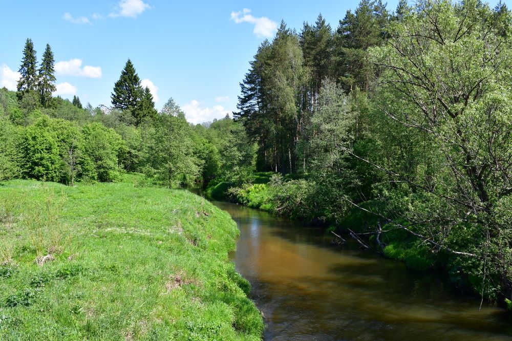 Photograph by Евстигнеев Евгений Васильевич