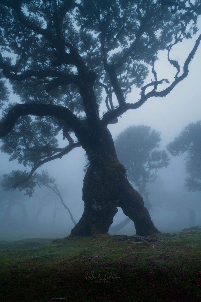 Photograph by PATRICK DELLON